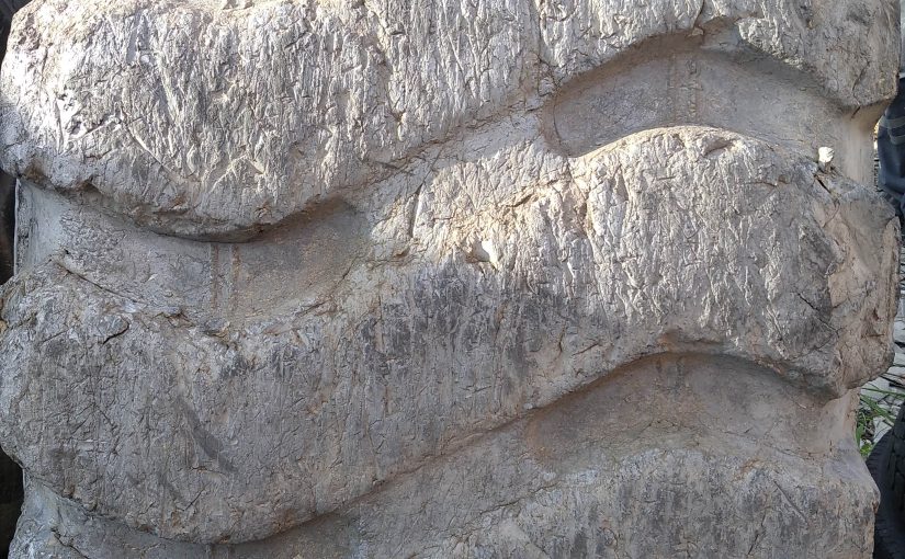 23.5-25 KEPÇE LASTİKLER